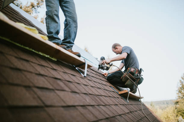 Quick and Trustworthy Emergency Roof Repair Services in Rose Hill, NC